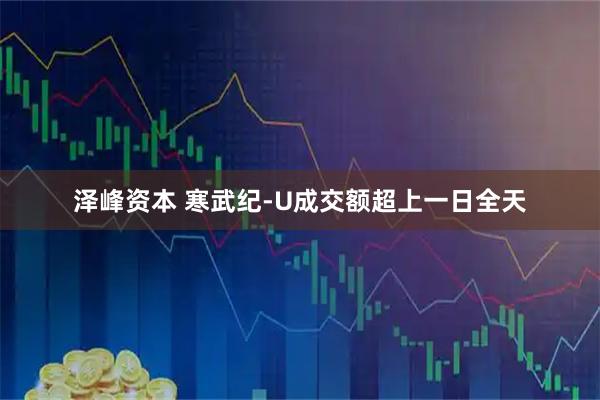 泽峰资本 寒武纪-U成交额超上一日全天