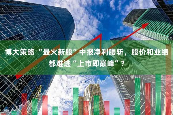 博大策略 “最火新股”中报净利腰斩，股价和业绩都难逃“上市即巅峰”？