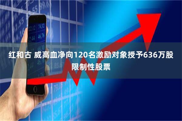 红和古 威高血净向120名激励对象授予636万股限制性股票