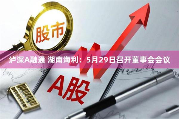 泸深A融通 湖南海利：5月29日召开董事会会议