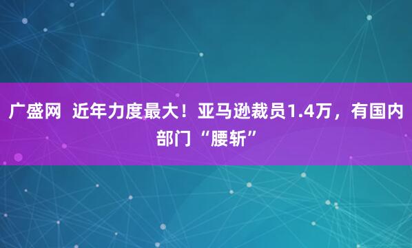 广盛网  近年力度最大！亚马逊裁员1.4万，有国内部门 “腰斩”
